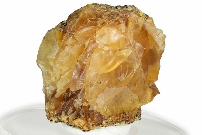 Rough Oregon Fire Opal #330555